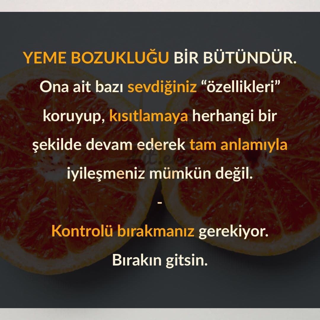 Yemek ile kontrol ilişkisi ve sağlıklı beslenme